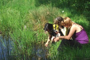 rencontres naturalistes franciliennes