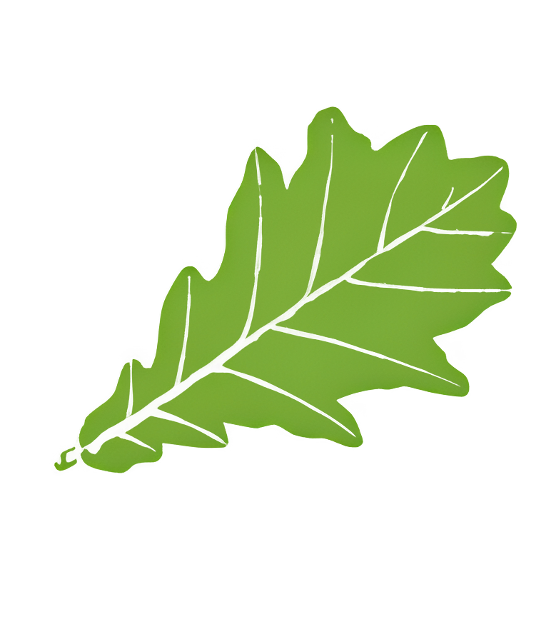 Logo ANVL