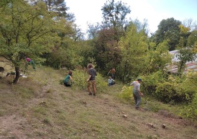Pelouse Montarlot Chantier