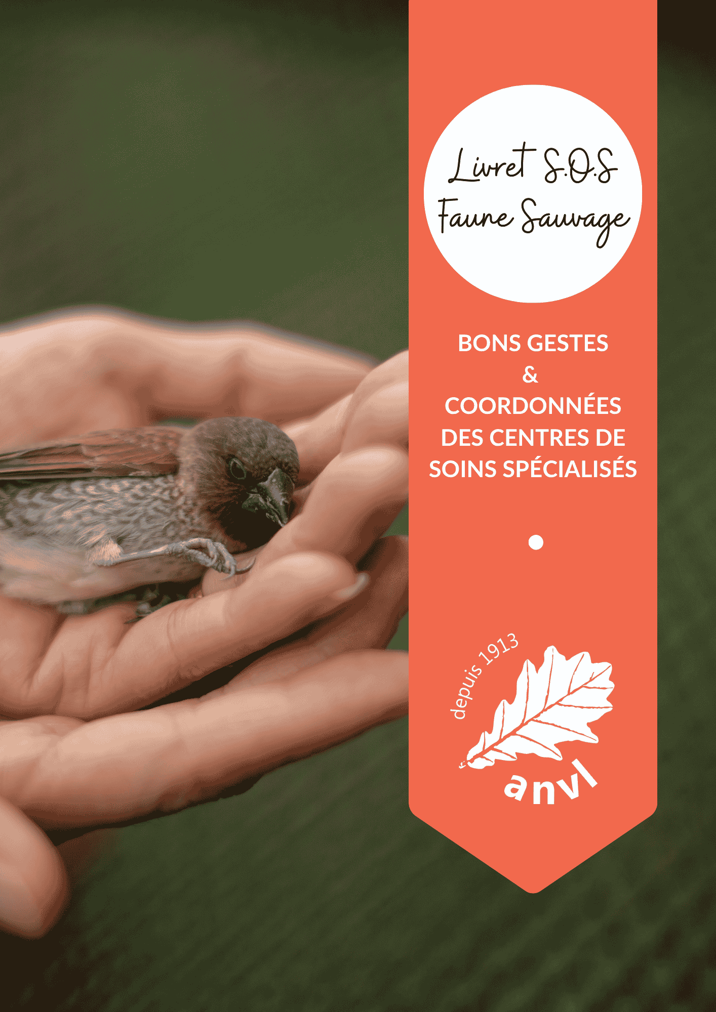 Vous trouvez un animal sauvage blessé ?