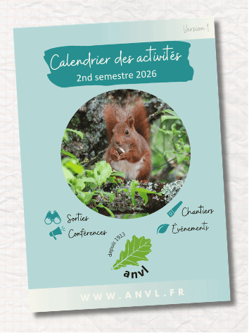 Nouveau calendrier des sorties disponible !